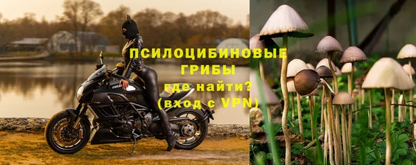 эйфоретик Алексин