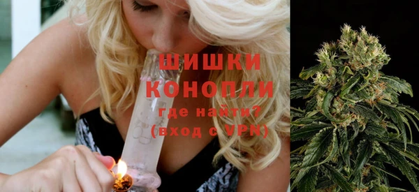 крисы Алзамай